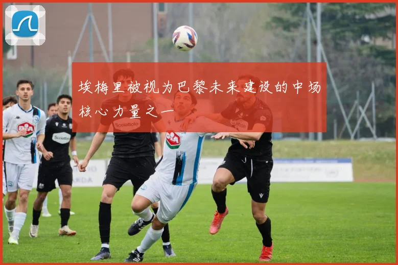 埃梅里被视为巴黎未来建设的中场核心力量之一