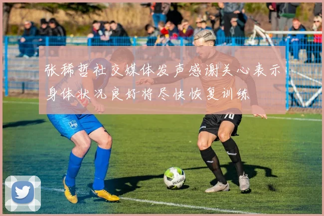 张稀哲社交媒体发声感谢关心表示身体状况良好将尽快恢复训练