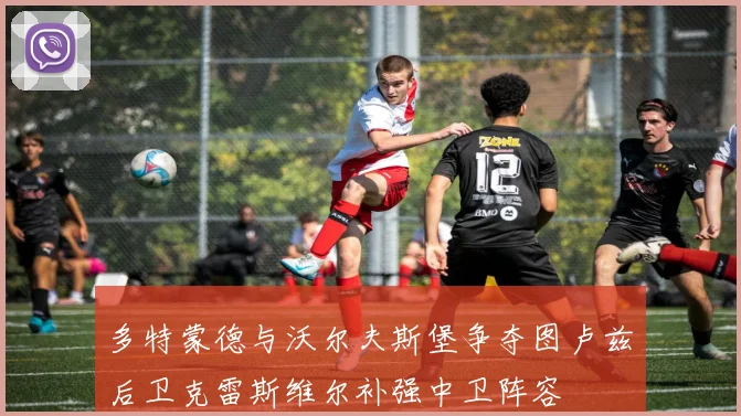 多特蒙德与沃尔夫斯堡争夺图卢兹后卫克雷斯维尔补强中卫阵容